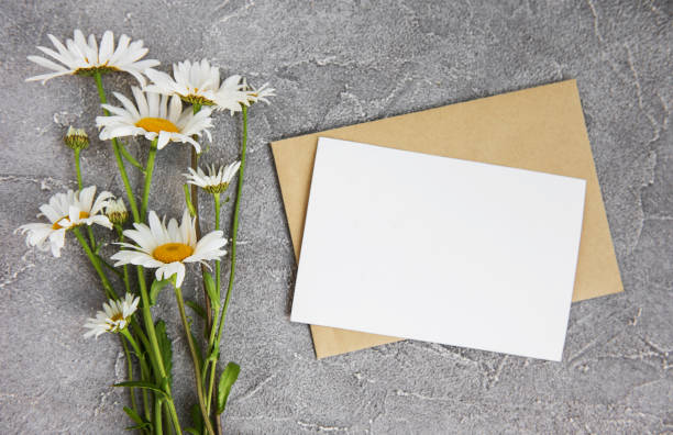 istock blank white greeting card and envelope with chamomile flowers 991837698