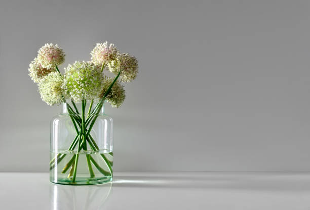 Minimalistic flowers bouquet in simple glass vase, front view, space for a text