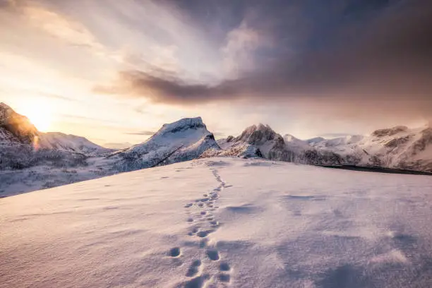 Photo of Landscape of snow mountains range with footprint on snowy at sunrise