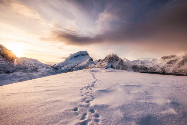 paisagem da gama de montanhas de neve com pegada na neve ao nascer do sol - sunrise mountain winter arctic - fotografias e filmes do acervo