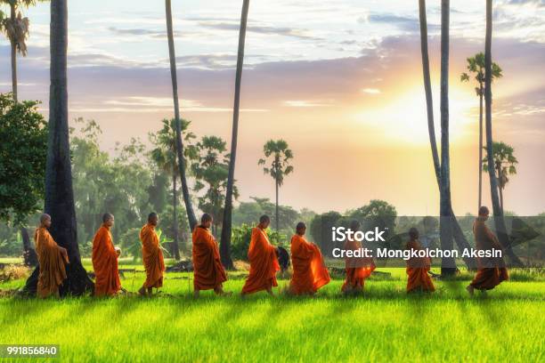 Monje Budista Y Novicio Budista Va Con Un Recipiente Para Recibir El Alimento De La Mañana A Pie En Una Fila A Través De Campo De Arroz Con Palmeras De Pueblo Foto de stock y más banco de imágenes de Tailandia