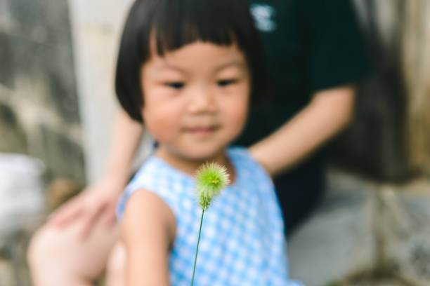 A baby girl playing foxtail barley  on the front of mother