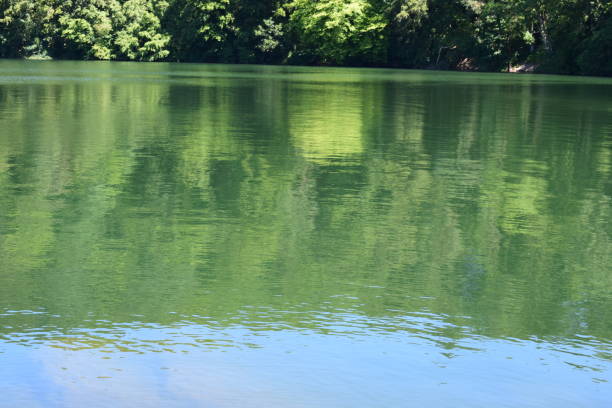 istock refection on a lake, Ulmener Maar 991873352
