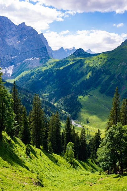 istock Idyllic alpine landscape in Austria 991881596