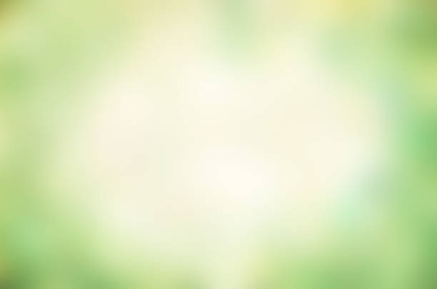 istock Abstract background with green bokeh lights. Space for text. 991883810