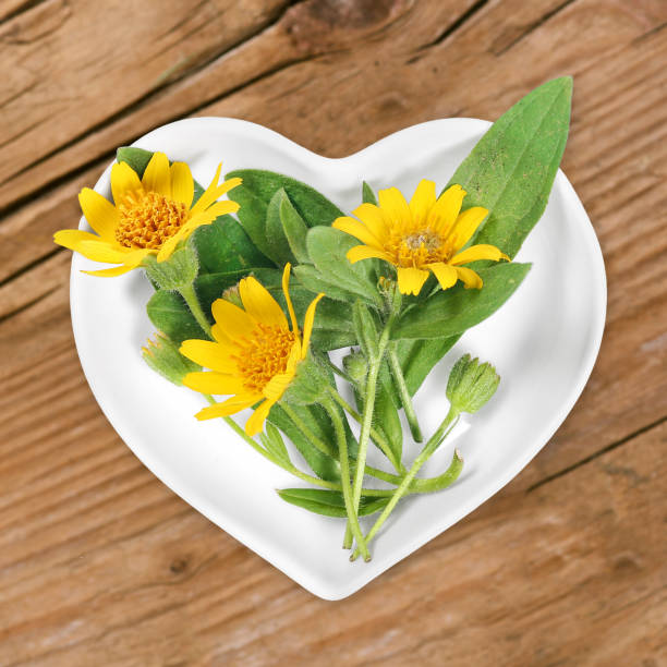 Homeopathy and cooking with arnica