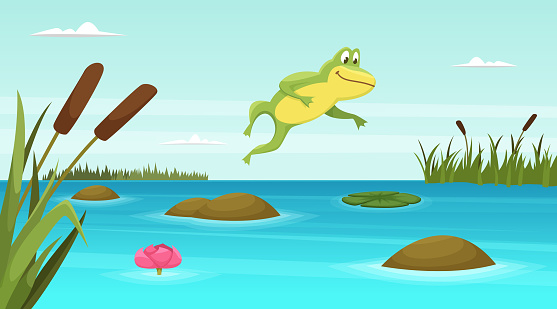 Frog jumping in pond. Vector cartoon background. Illustration of toad amphibian