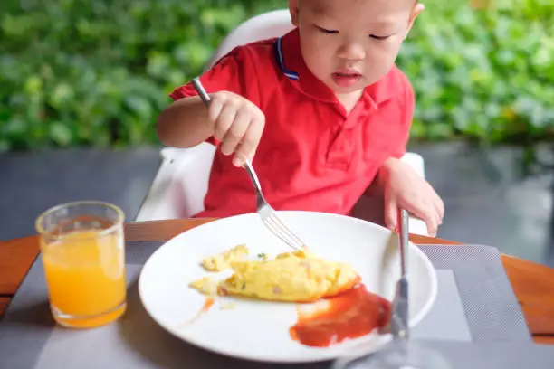 Photo of Cute little Asian 2 years old toddler baby boy child wearing red shirt use Fork and Knife eating breakfast in garden