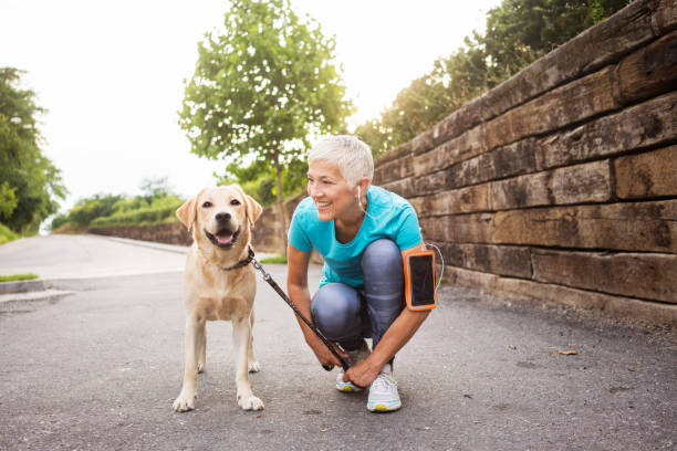 mujer corriendo con su perro - senior adult relaxation exercise healthy lifestyle exercising fotografías e imágenes de stock