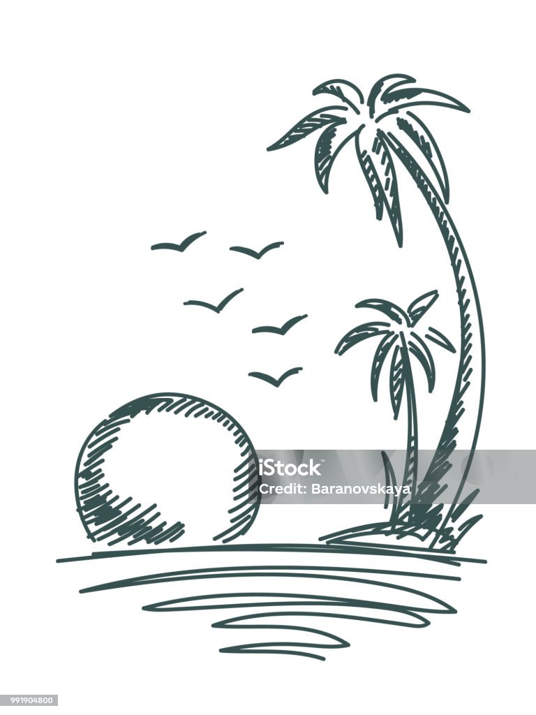 Palm trees vector. Palm trees vector. Palm silhouettes isolated on white background. Vector tropical background. Palms pencil sketch. Vector summer drawing. Palm Tree stock vector