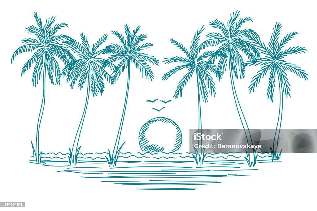 Palm trees vector. Palm trees vector. Palm silhouettes isolated on white background. Vector tropical background. Palms pencil sketch. Vector summer drawing. Vector stock vector