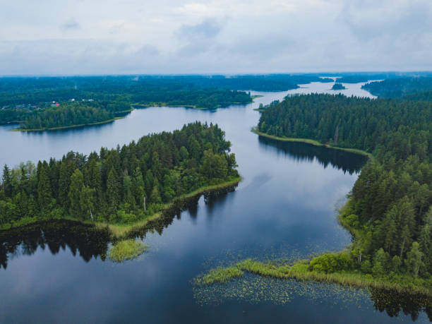 istock Lake Seliger from above. Russian landscape 991908474