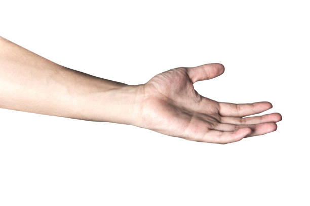 istock Hand open and ready to help or receive. Gesture isolated on white background with clipping path. 991924338