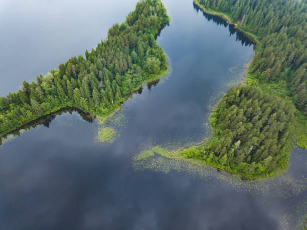 istock Lake Seliger from above. Russian landscape 991924656