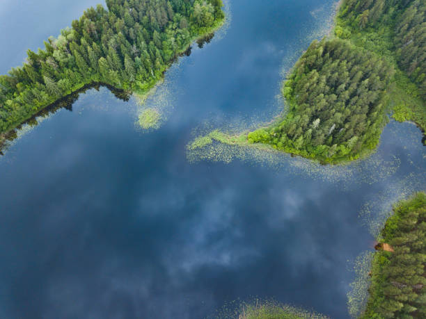 istock Lake Seliger from above. Russian landscape 991925144