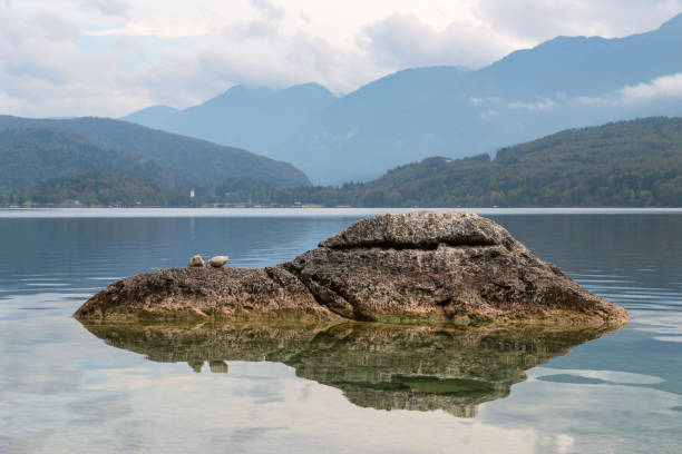 istock Dolomite stone on Lake Bohinj, Slovenia 991926320