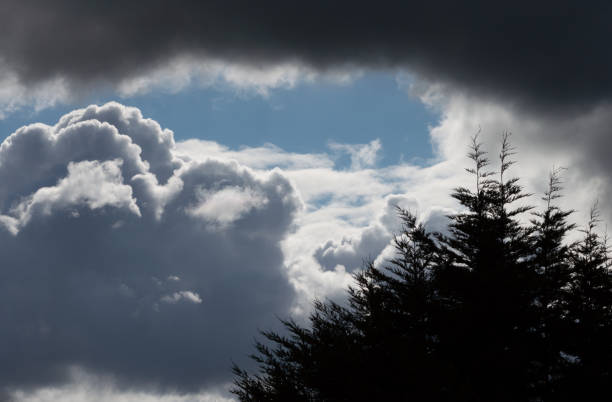 Photo of Billowing grey white clouds with blue sky. Stormy weather.
