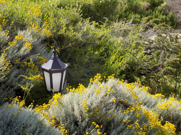 Retro styled lamp hidden among plants in the garden