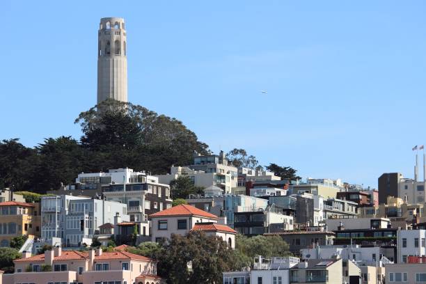 coit tower, à san francisco - tower coit tower san francisco bay area san francisco county photos et images de collection