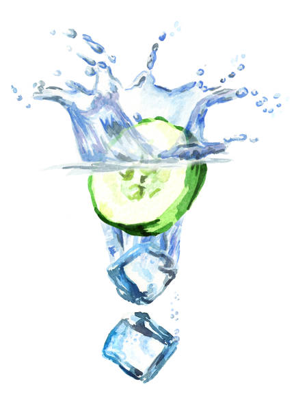 kostki lodu i ogórek wpadające do wody, ręcznie rysowana ilustracja wyizolowana na białym tle - frozen cold spray illustration and painting stock illustrations
