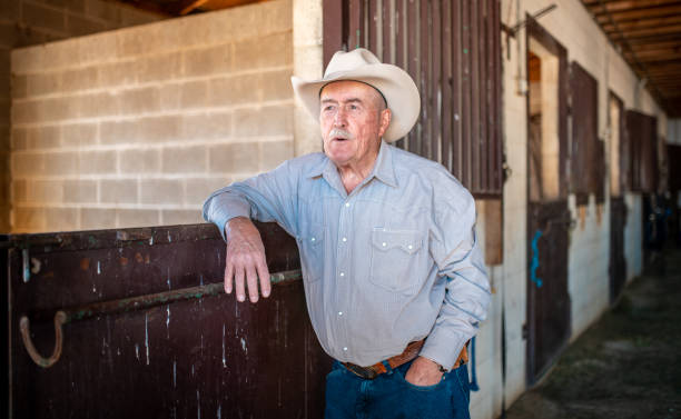 Cowboy is  leaning on a fence in a barn in Utah, USA. He is getting ready for riding.