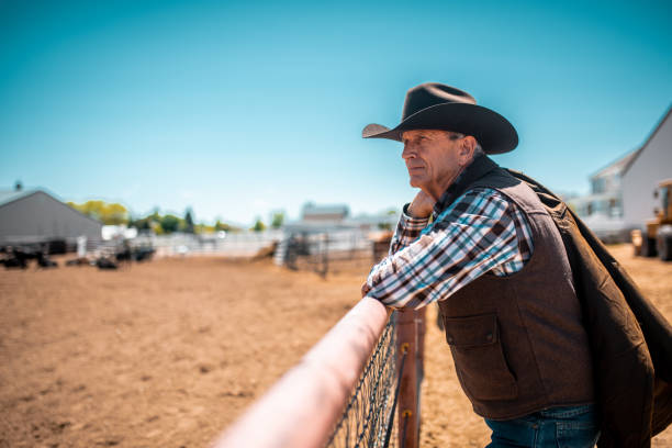 istock Cowboy getting ready for riding in rodeo arena 992013024