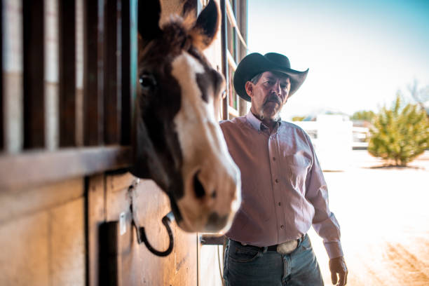 istock Cowboy standing next to his horse in a barn 992013048