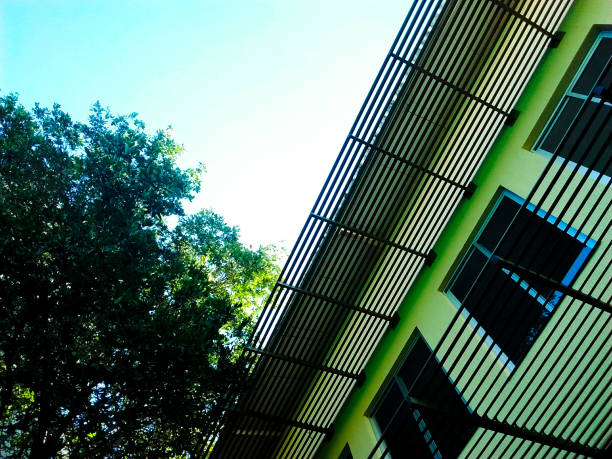 Green building in contrast with blue sky and tree