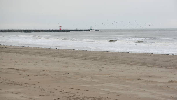 istock empty Scheveningen beach in winter, The Hague, Netherlands 992016966