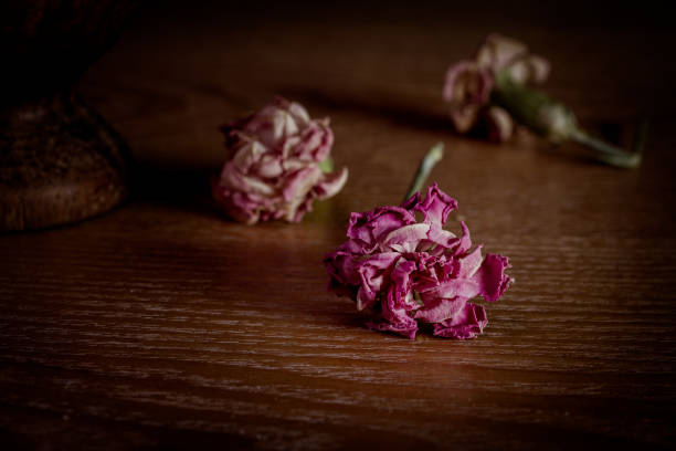 istock Dead dry pink carnations  on wooden table 992023664