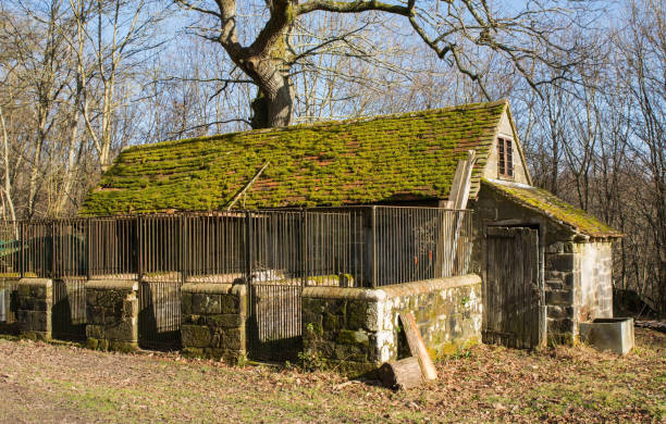 istock Old disused barn in English countryside 992033218