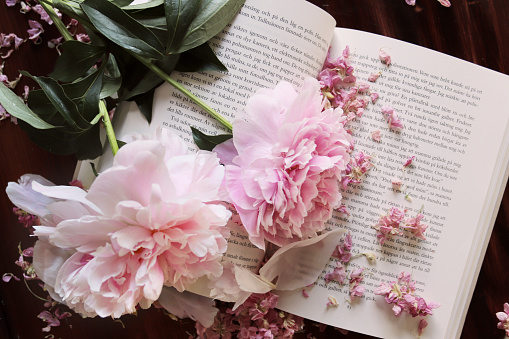 Bouquet of pink peonies scattered over a book retro