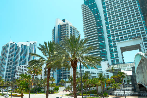 istock Diplomat Lane in Hallandale Beach Florida 992046258