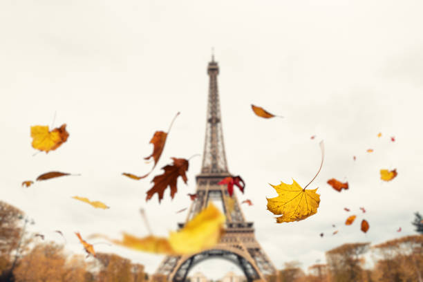 otoño en parís - autumn leaf falling wind fotografías e imágenes de stock