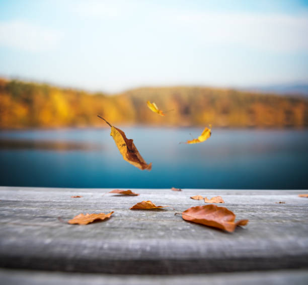 istock Autumn By The Lake 992056262