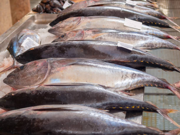 istock Fish market in Funchal, Madeira 992056990