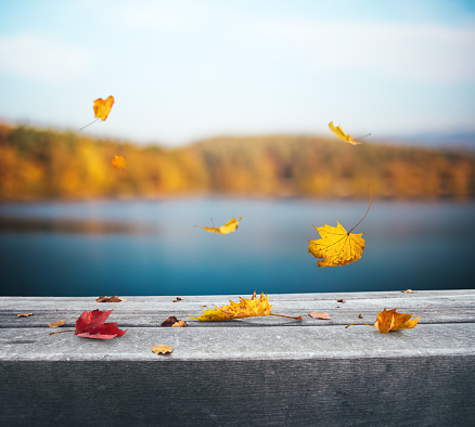 Colorful autumn background with falling leaves by the lake.