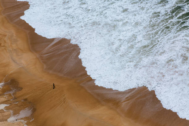 Man and the ocean Nazare - beach from above. Beach scene from above - man, ocean and yellow sand. nazare surf stock pictures, royalty-free photos & images