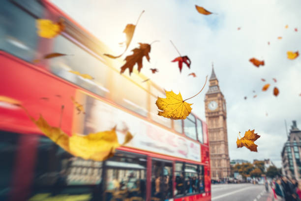 caen hojas de otoño en londres - autumn leaf falling wind fotografías e imágenes de stock