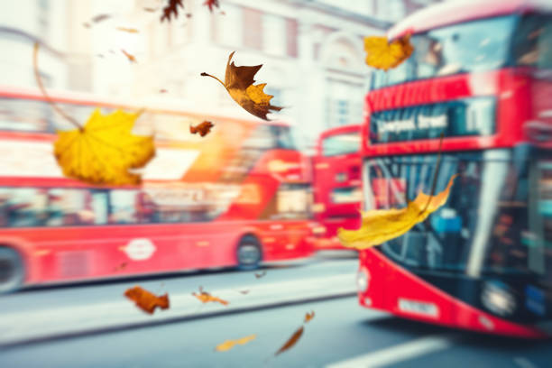 istock Falling Leaves In London 992070274