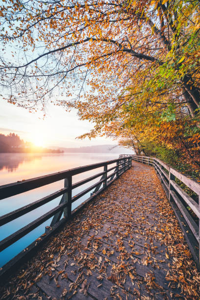 istock Sunrise By The Lake 992073834