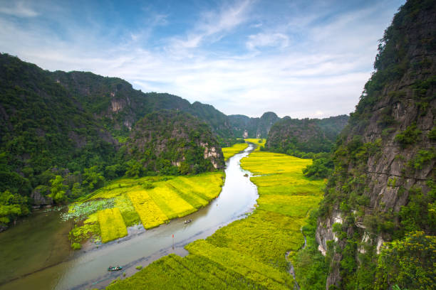 Tam coc, Ninh Ninh in rice harvest season Tam Coc, Bich dong, Ninh Binh tam o'shanter stock pictures, royalty-free photos & images