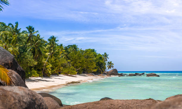 istock Paradise beach in the Seychelles 992081292