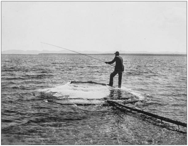 Antique photograph of America's famous landscapes: Yellowstone Lake, Fishing and cooking in geyser Antique photograph of America's famous landscapes: Yellowstone Lake, Fishing and cooking in geyser fisherman photos stock illustrations