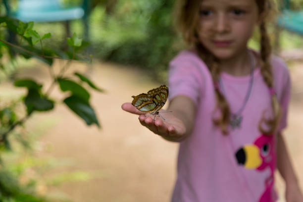 istock Yellow Spotted Butterfly and Girl 992089196