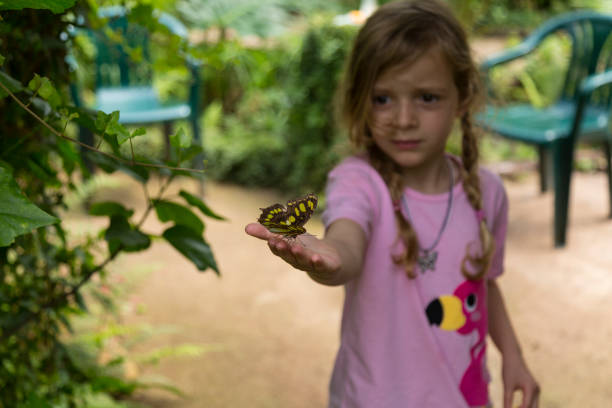 istock Yellow Spotted Butterfly and Girl 2 992089198
