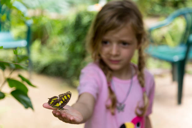 istock Yellow Spotted Butterfly and Girl 3 992089224