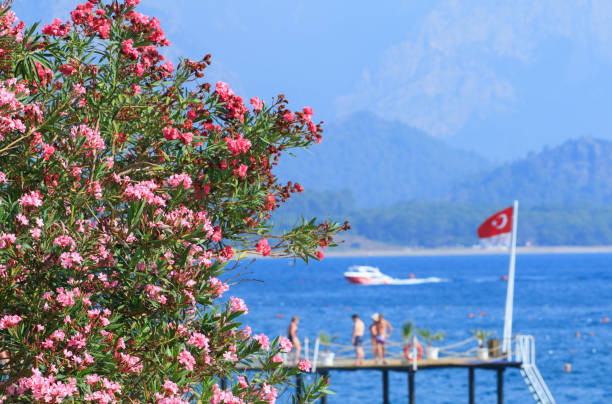 istock Oleander flowers on the sea and  Turkish flag 992089746