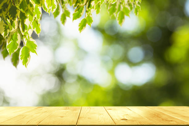 istock The wooden table with leaves on nature background and copy space for insert text. 992090892