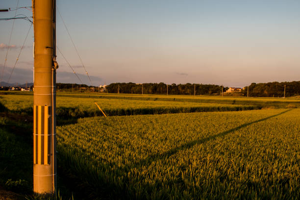 istock Evening of autumn 992095758